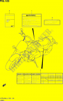 ETIQUETA (VZR1800ZL4 E02) para Suzuki INTRUDER 1800 2015